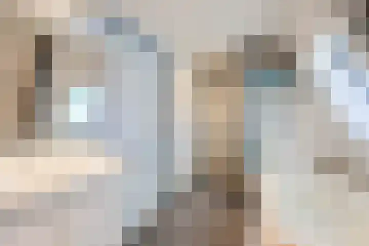 Dorpsstraat 5 Assendelft thumbnail 24