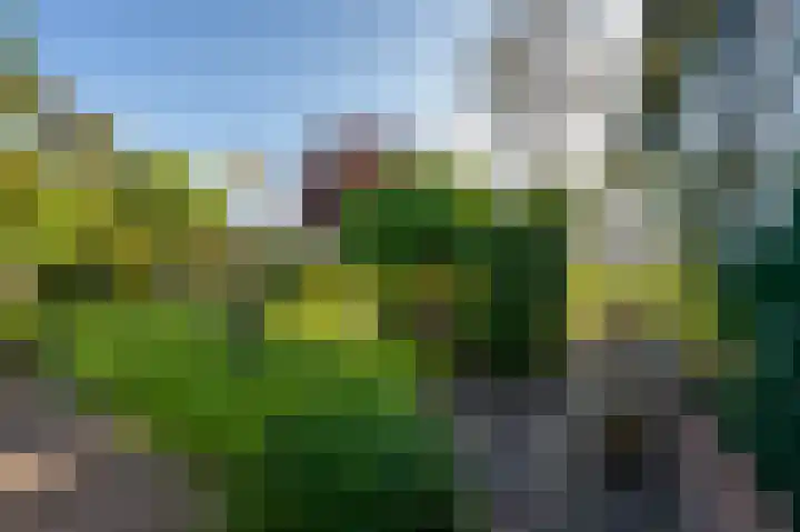 Dorpsstraat 5 Assendelft thumbnail 36
