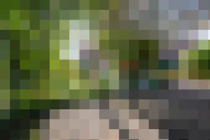 Dorpsstraat 5 Assendelft thumbnail 41