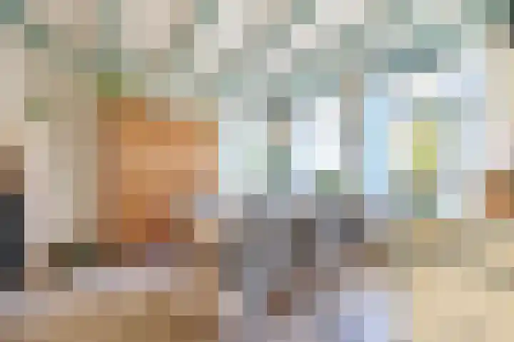 Dorpsstraat 5 Assendelft thumbnail 5