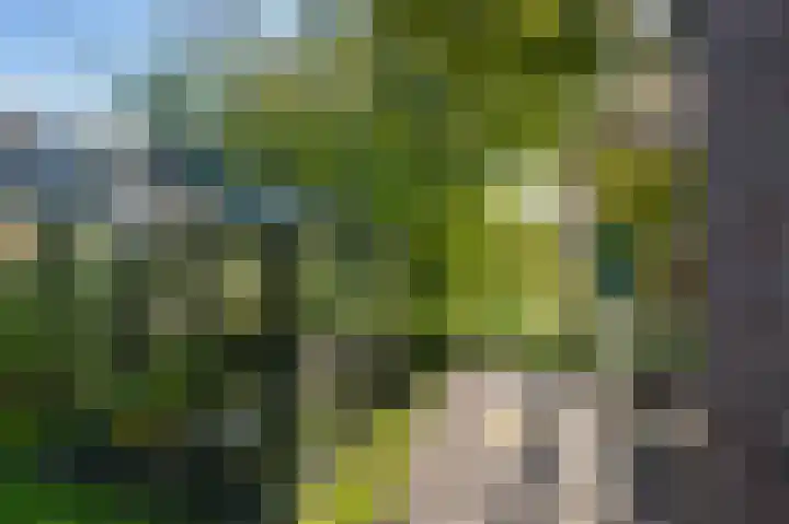Dorpsstraat 5 Assendelft thumbnail 52