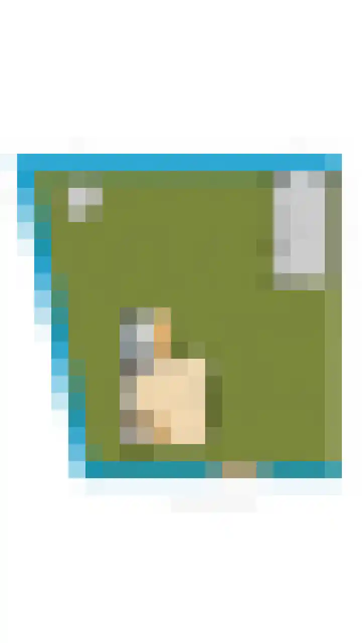 Dorpsstraat 5 Assendelft thumbnail 64