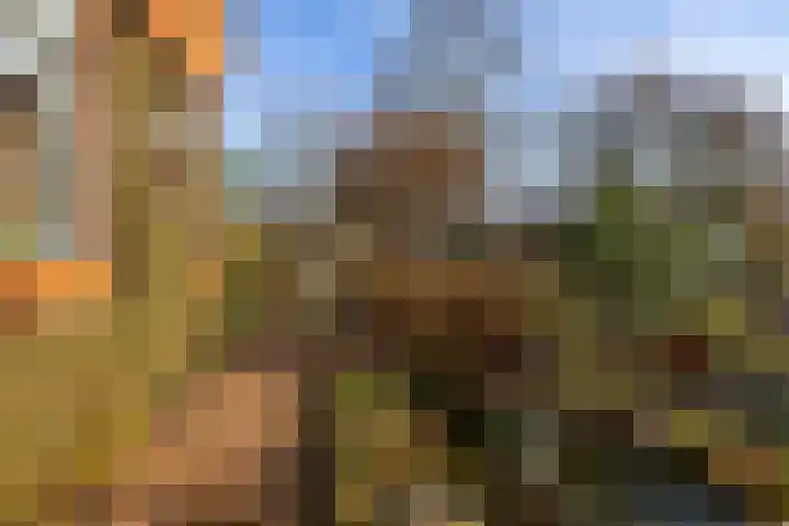 Dorpsstraat 53 Den Horn thumbnail 33