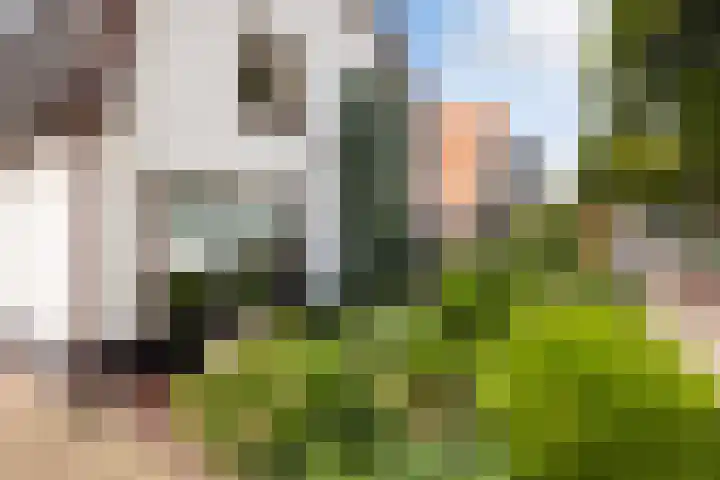 Dorpsstraat 53 Harskamp thumbnail 31
