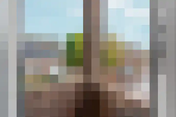 Dorpsstraat 54 b Afferden L thumbnail 5