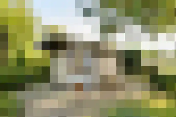 Dorpsstraat 54 Graauw thumbnail 55