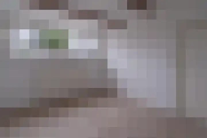 Dorpsstraat 56 Krabbendijke thumbnail 22