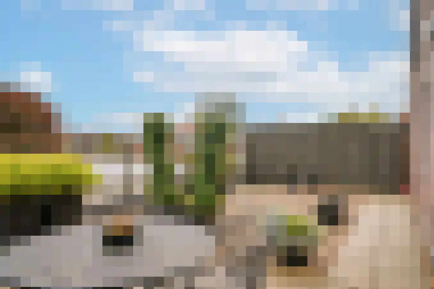 Dorpsstraat 6 Opheusden thumbnail 35