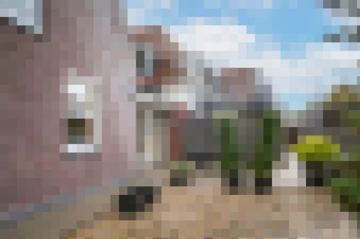 Dorpsstraat 6 Opheusden thumbnail 36