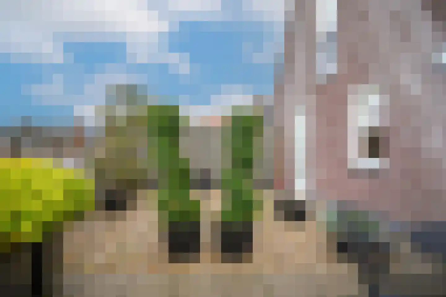 Dorpsstraat 6 Opheusden thumbnail 38