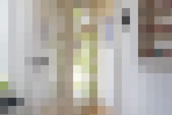 Dorpsstraat 60 Dussen thumbnail 17