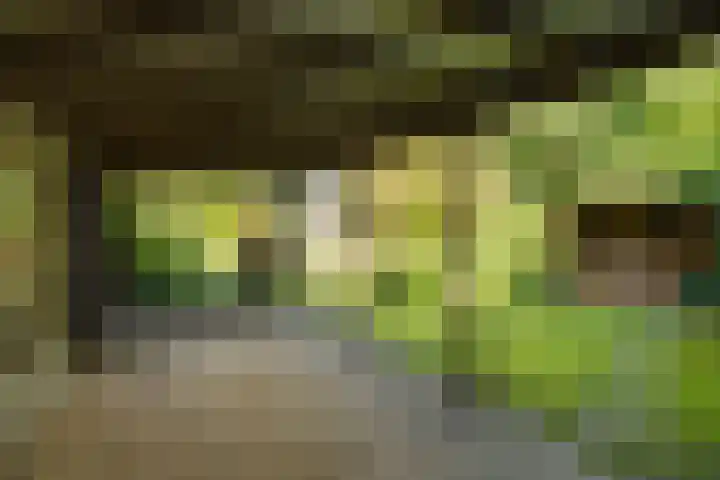Dorpsstraat 60 Dussen thumbnail 37
