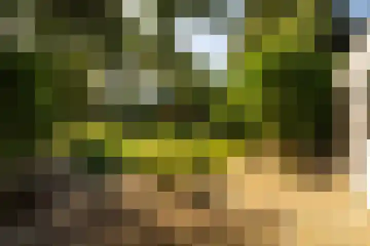 Dorpsstraat 60 Dussen thumbnail 38