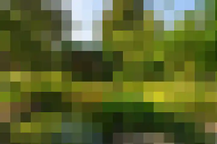 Dorpsstraat 60 Dussen thumbnail 39