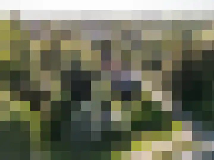 Dorpsstraat 60 Dussen thumbnail 4