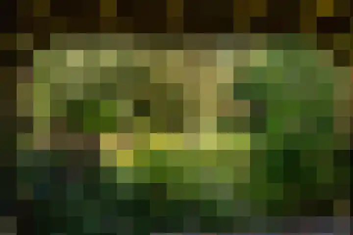 Dorpsstraat 60 Dussen thumbnail 41