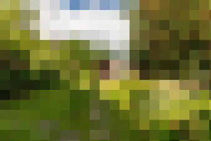 Dorpsstraat 60 Dussen thumbnail 42