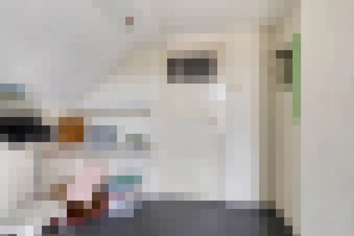 Dorpsstraat 60 Halle thumbnail 30