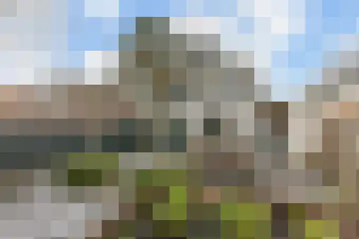 Dorpsstraat 60 Wormer thumbnail 12