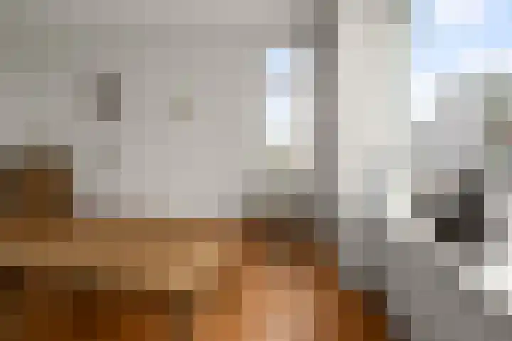 Dorpsstraat 619 Assendelft thumbnail 6