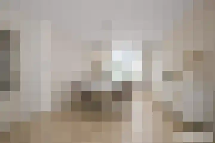 Dorpsstraat 619 Assendelft thumbnail 8