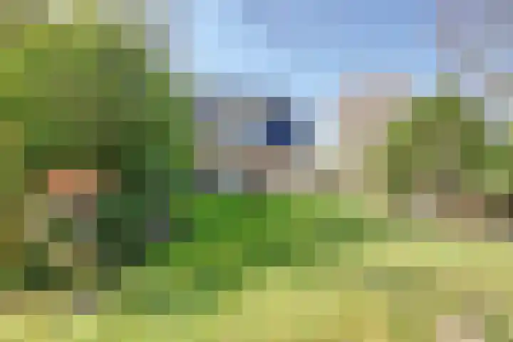 Dorpsstraat 63 Heeten thumbnail 10