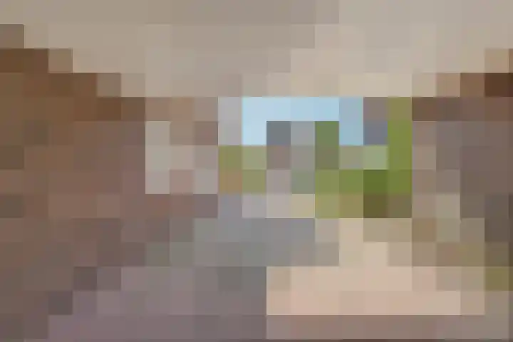 Dorpsstraat 63 Heeten thumbnail 10