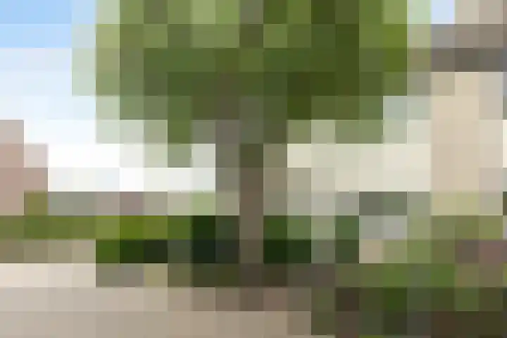 Dorpsstraat 63 Heeten thumbnail 8