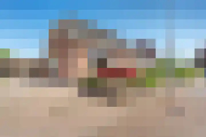 Dorpsstraat 63 Heeten thumbnail 8