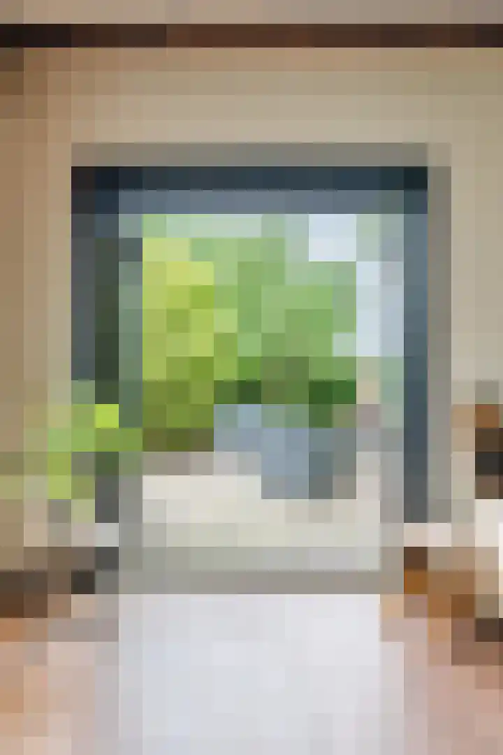 Dorpsstraat 64 Dalerpeel thumbnail 10