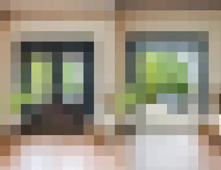Dorpsstraat 64 Dalerpeel thumbnail 11