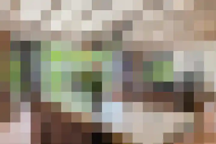 Dorpsstraat 64 Dalerpeel thumbnail 12