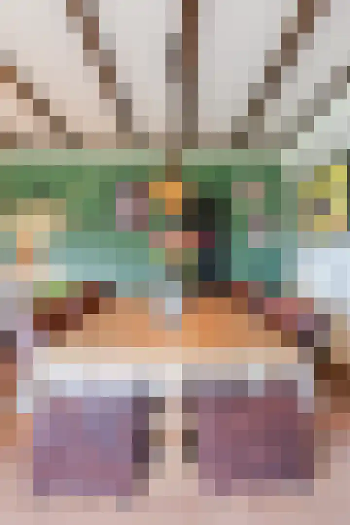 Dorpsstraat 64 Dalerpeel thumbnail 13