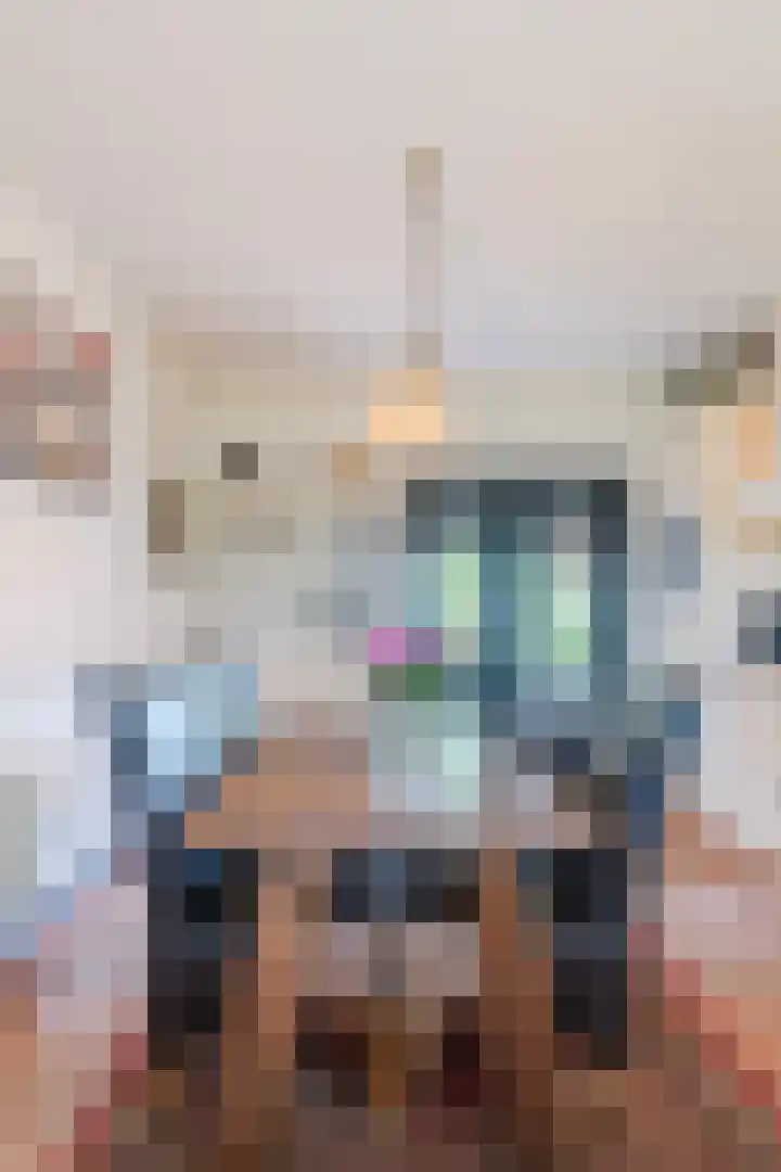 Dorpsstraat 64 Dalerpeel thumbnail 18