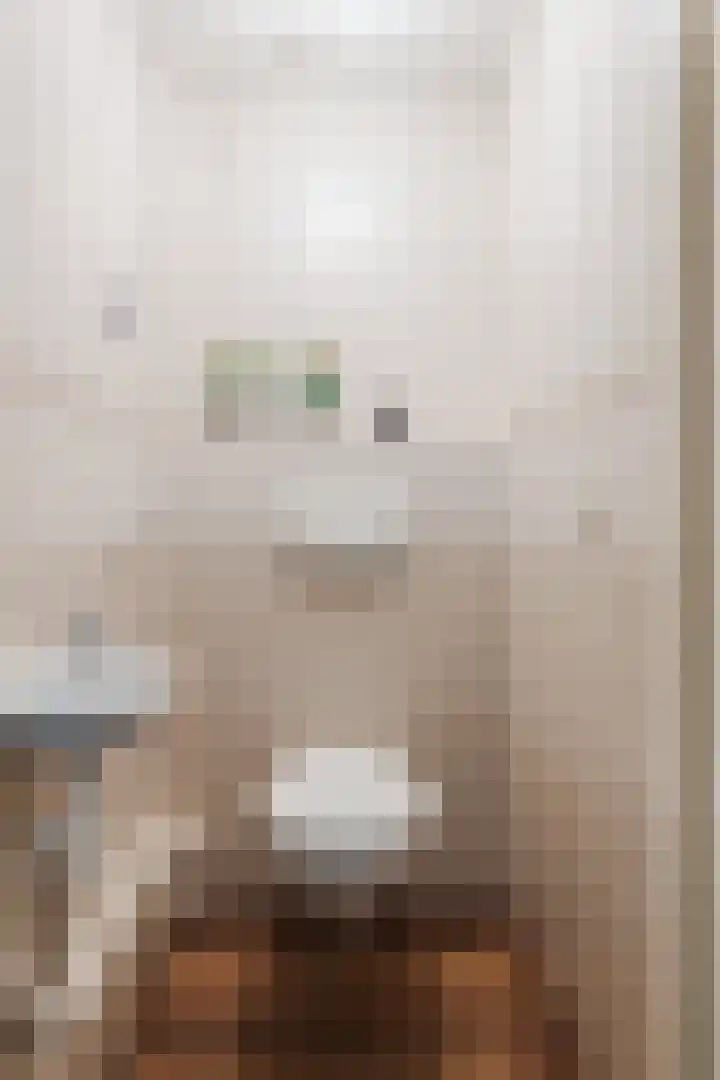 Dorpsstraat 64 Dalerpeel thumbnail 39