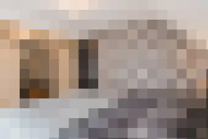 Dorpsstraat 64 Dalerpeel thumbnail 42
