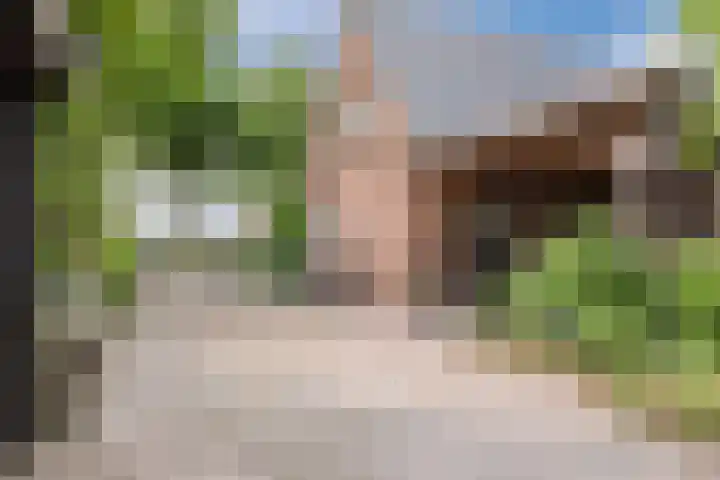 Dorpsstraat 64 Dalerpeel thumbnail 54