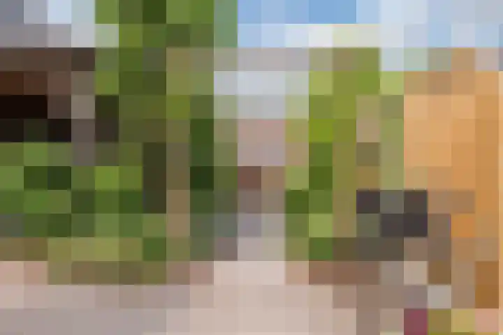 Dorpsstraat 64 Dalerpeel thumbnail 55