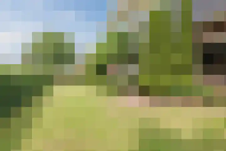 Dorpsstraat 64 Dalerpeel thumbnail 61