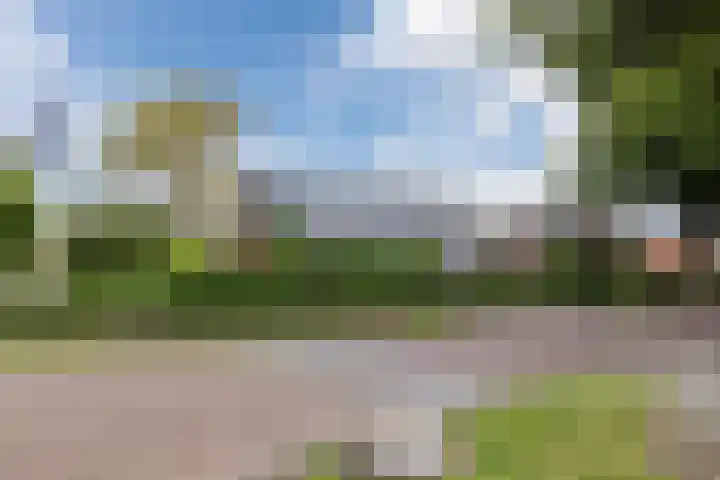 Dorpsstraat 64 Dalerpeel thumbnail 63