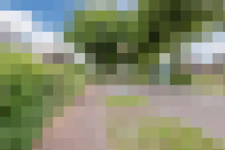Dorpsstraat 64 Dalerpeel thumbnail 65