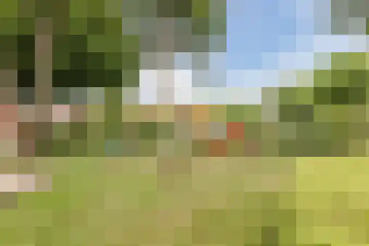 Dorpsstraat 64 Dalerpeel thumbnail 66