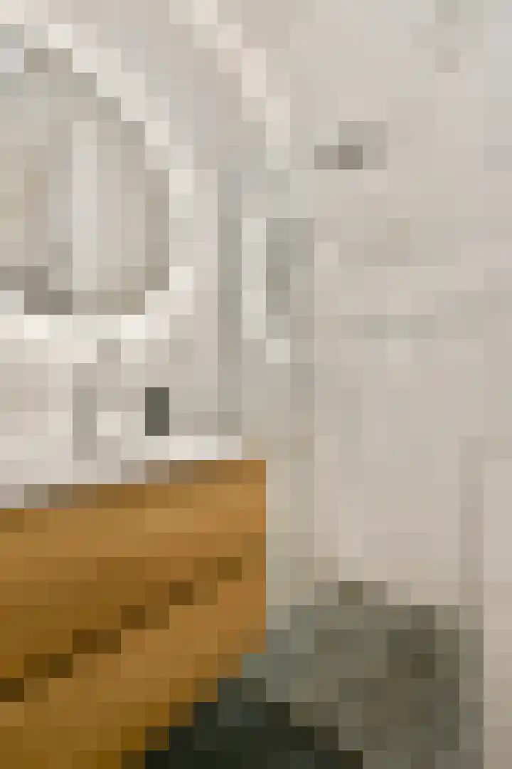 Dorpsstraat 642 D Assendelft thumbnail 17