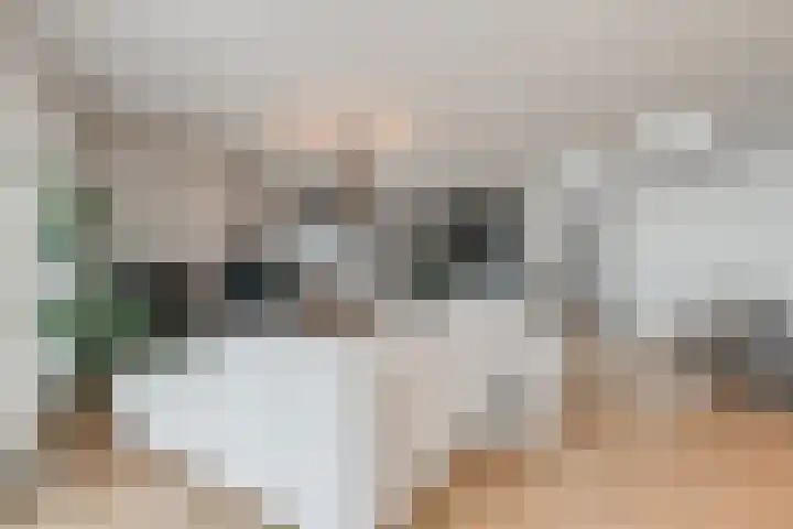 Dorpsstraat 68 Ruurlo thumbnail 11