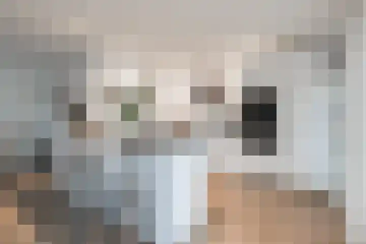 Dorpsstraat 68 Ruurlo thumbnail 13