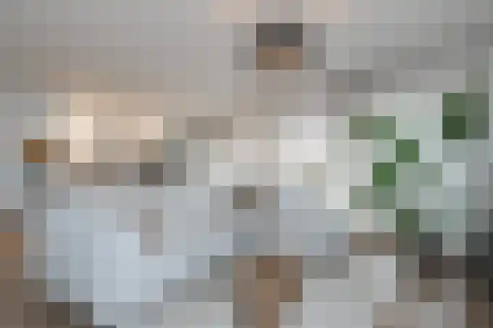 Dorpsstraat 68 Ruurlo thumbnail 9
