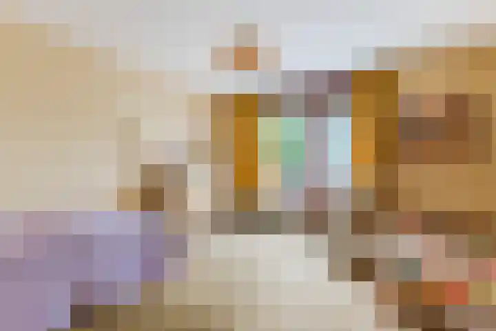 Dorpsstraat 7 a Winkel thumbnail 35