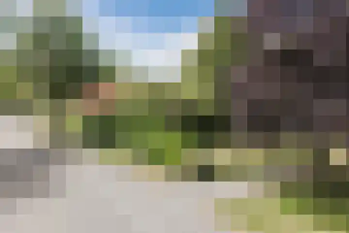 Dorpsstraat 7 a Winkel thumbnail 8