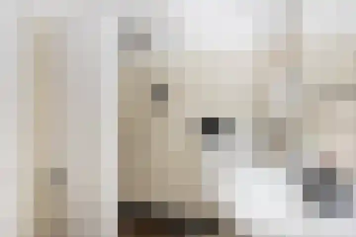 Dorpsstraat 7 Bathmen thumbnail 16