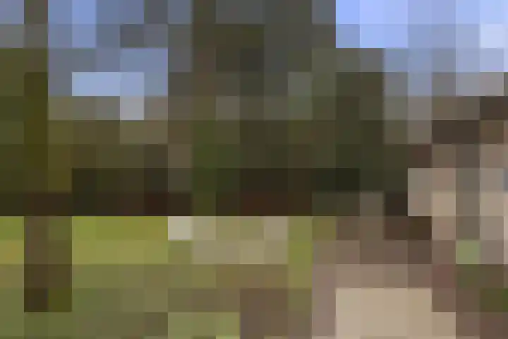 Dorpsstraat 7 Bathmen thumbnail 20